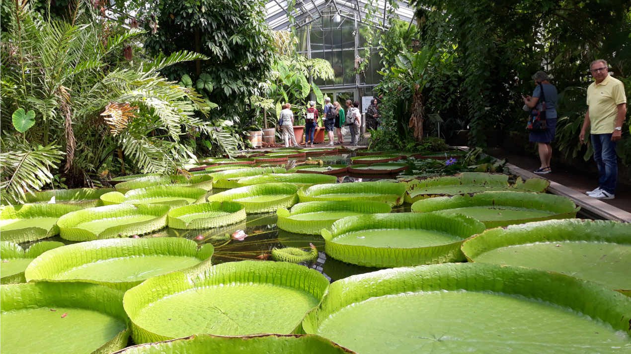 Ausflug in den Botanischen Garten