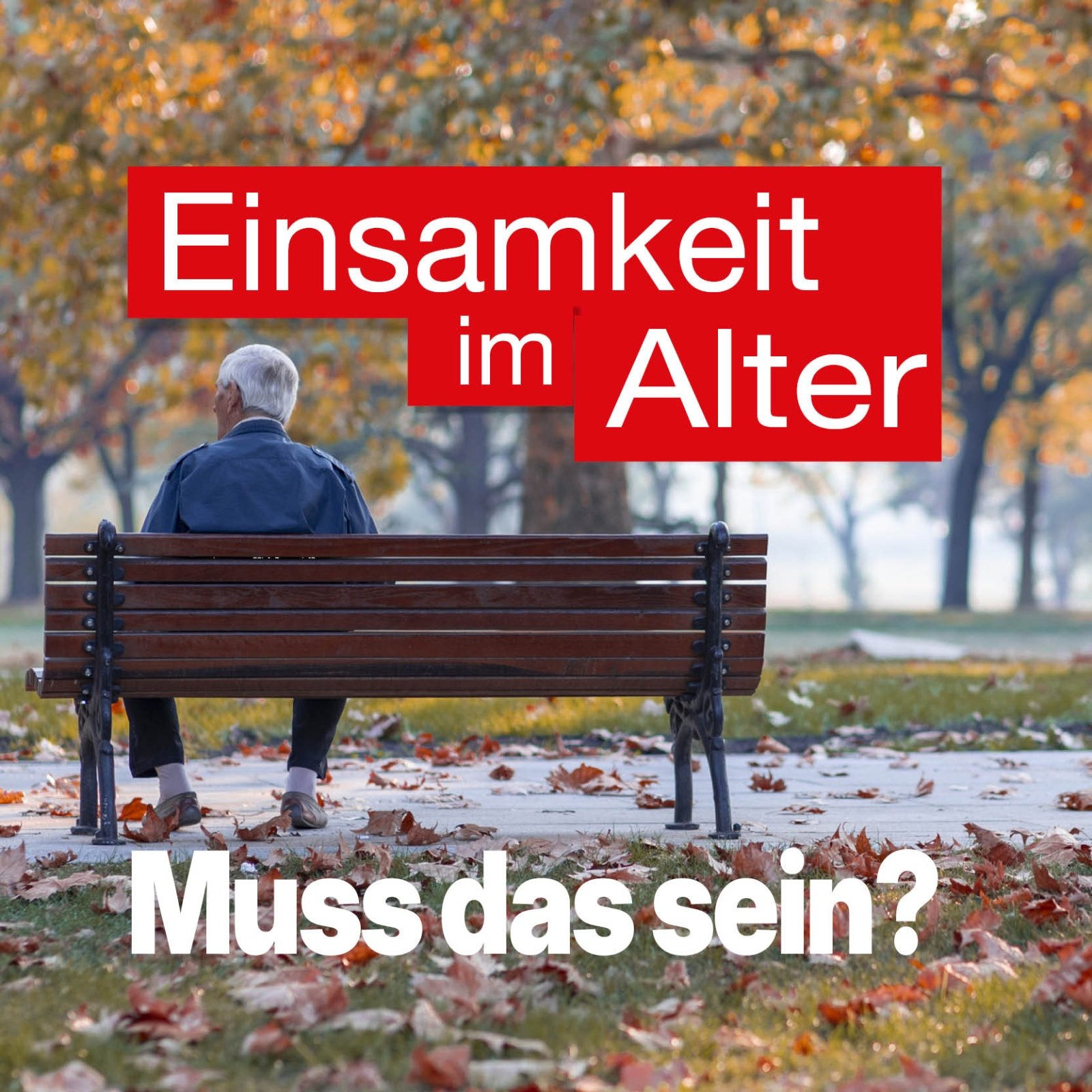 Vortrag Einsamkeit im Alter (c) CV Rhein-Sieg