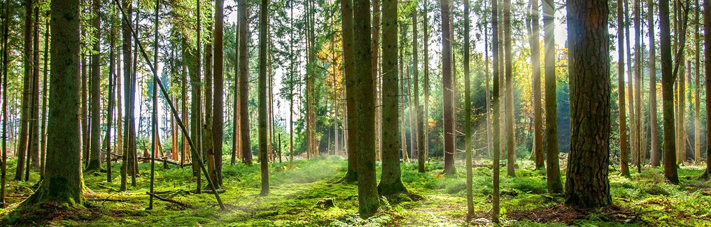 Krebsberatung (c) istock