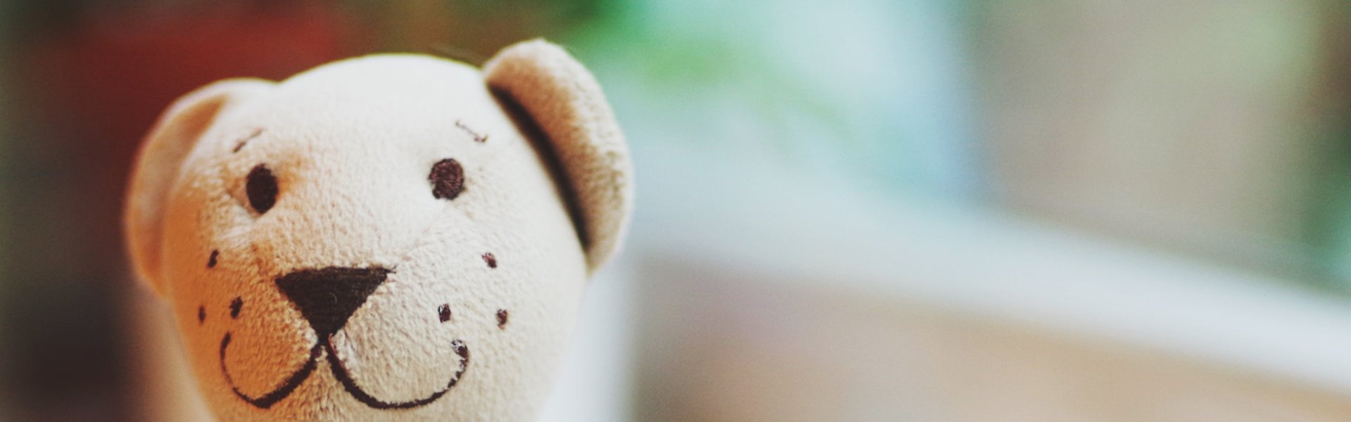 Teddy_pixa_Header