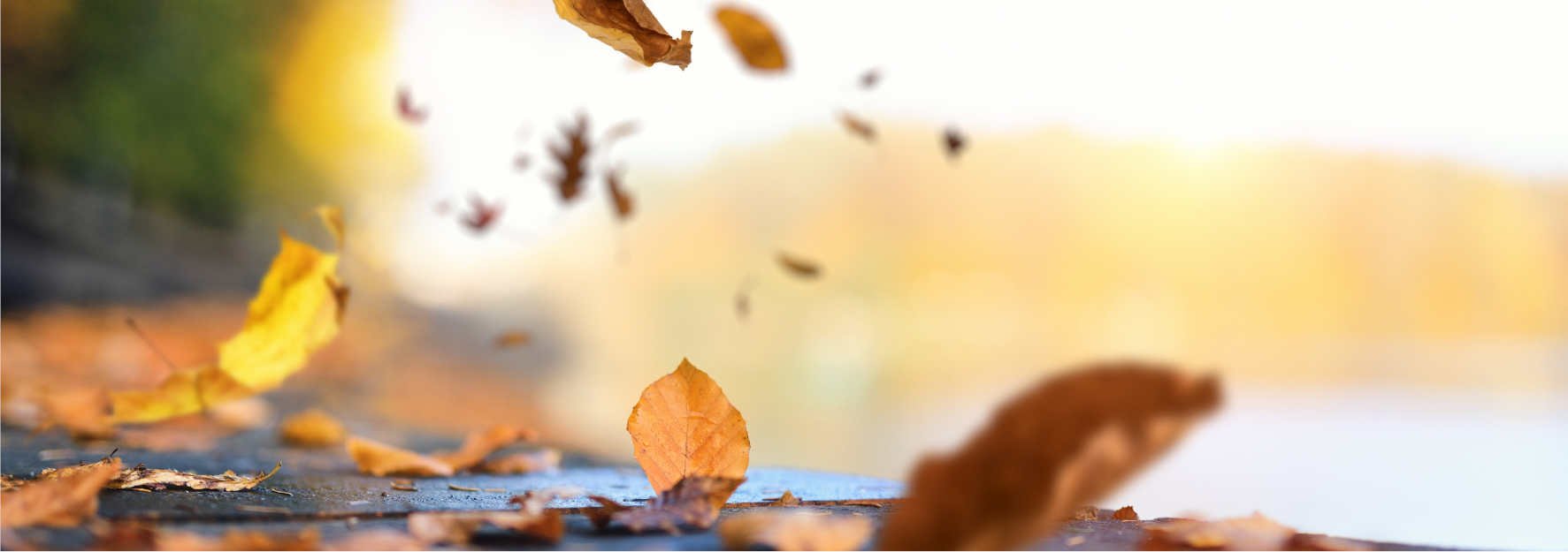 Gesundheitliche Versorgungsplanung in der letzten Lebensphase (c) istock